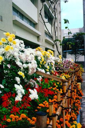 VBAのファイナリストが講師を務めるボイトレ