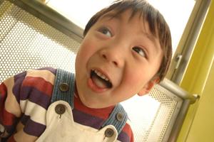 ナビ個別指導学院岸和田校｜やる気と成績アップを実現する個別指導塾の魅力と詳細情報