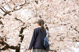 錦糸町のキッズキックボクシングレッスン